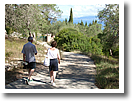 Paxos Walks